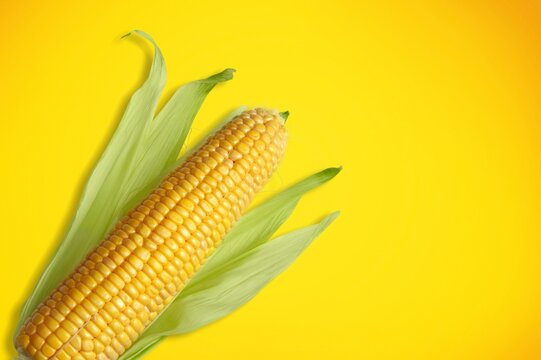 Corn.