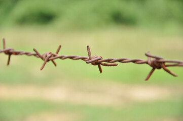 old rusty barbed wire fence background blurred nature. selective focus