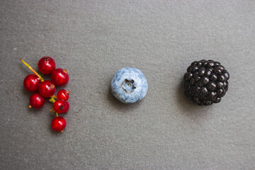 Blueberry, blackberry and red currant on gray background. Fresh ripe berries. Berries in row with copy space. Vitamin and antioxidant concept. Organic food. Healthy nutrition. Sweet berries in studio.