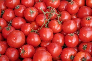 red tomatoes. background, texture, organic harvest