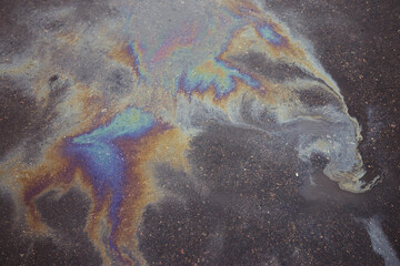 Oil slick on the asphalt road background