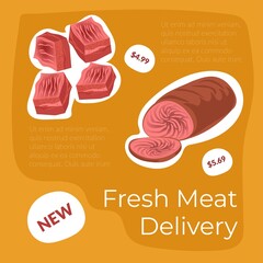 Fresh meat delivery, butchers store promo banner