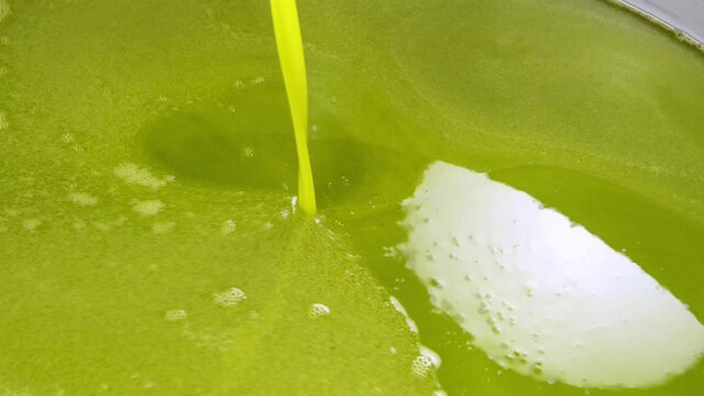 freshly milled extra virgin olive oil typical Sicilian production