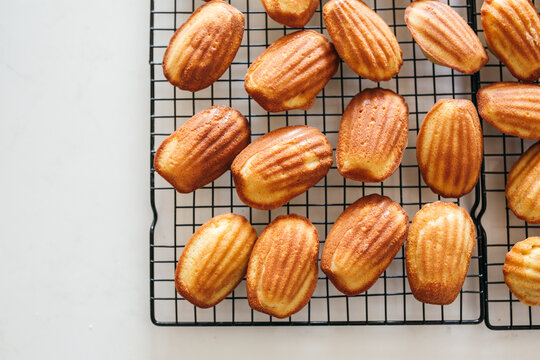 Madeleine Cakes Dusted with Sugar