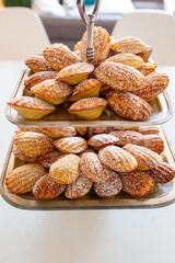 Madeleine Cakes Dusted with Sugar
