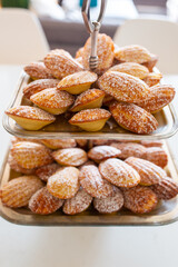 Madeleine Cakes Dusted with Sugar