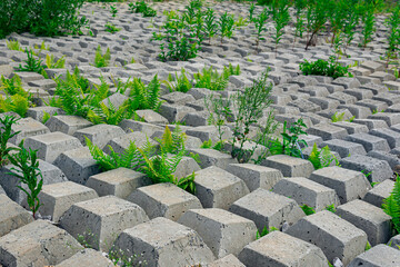 terrain covered with flexible concrete mat to prevent erosion, laid on the ground, with plants...