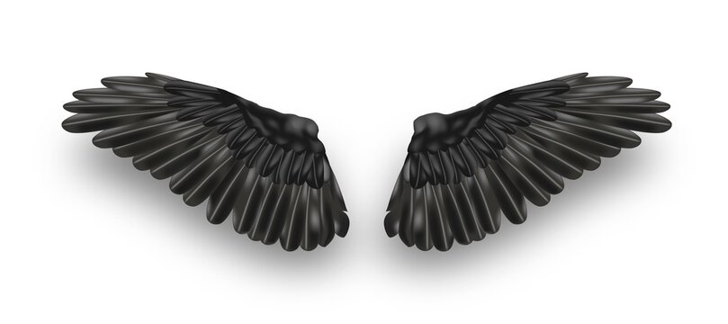 Vector pair of black realistic wings on white background