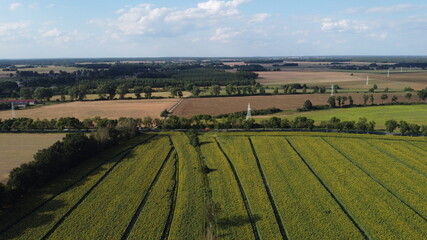 landscape with vineyards © Marcin