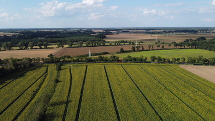 vineyard in region © Marcin