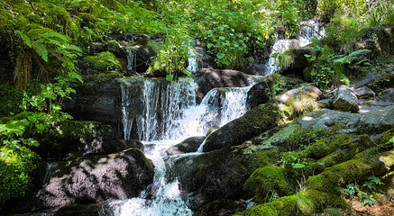 Fototapeta premium Beautiful waterfall surrounded by beautiful plants in Spain