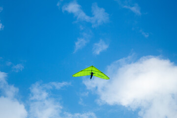 kite in the sky