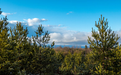 Spring landscape with a beautiful lake with fir trees and last snow against a cloudy sky