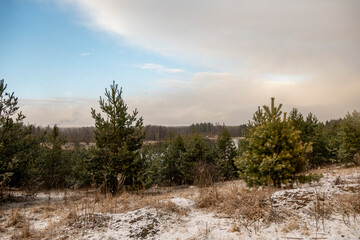 Fototapeta premium early spring landscape with a beautiful lake with fir trees and last snow against a cloudy sky