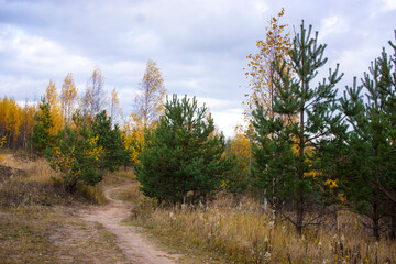Fototapeta premium Sand Road In The Field