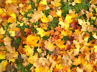 Buntes Laub im Herbst