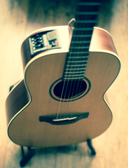 Acoustic Parlour Guitar