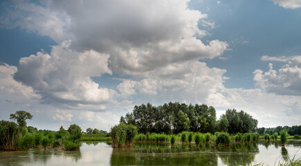 beautiful view of the pond against the backdrop of white clouds