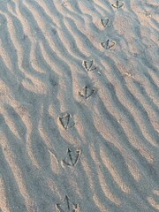 footprints in the sand