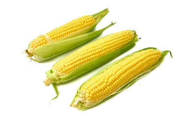 Young appetizing corn on the cob and peeled on a white background.
