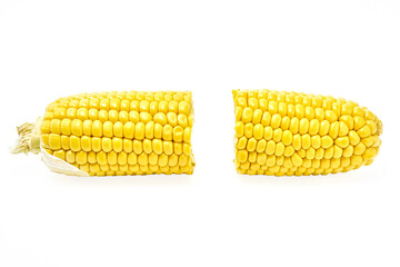 Young appetizing corn on the cob, cut in half and peeled from the leaves on a white background.