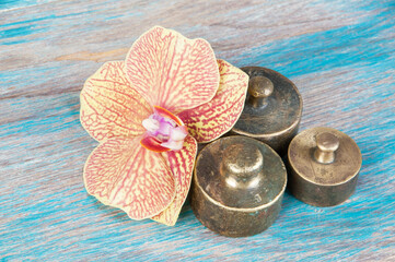 Three antique bronze weights for scales.