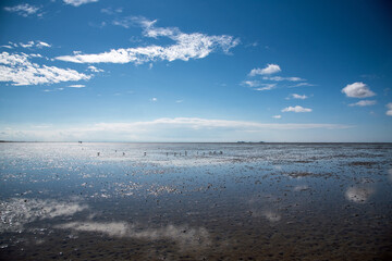 Obraz premium Wattwanderung