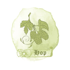 Badge with Humulus lupulus and Watercolor Spots