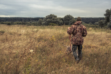 Hunter going through rural field with hunting dog Weimaraner during hunting season