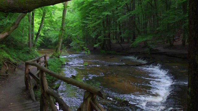 Nature reserve Cascades on Tanew River (Szumy nad Tanwią), Roztocze, Poland. River flowing through the green forest in the summertime. 