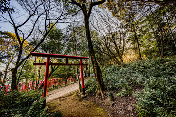 吉五郎稲荷の赤鳥居