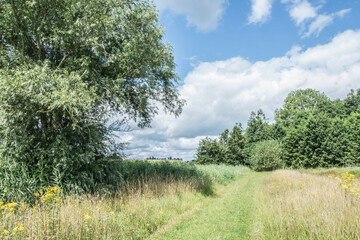 Obraz premium sunny day in spring in nature area near small river with blue sky and white clouds during covid lock down