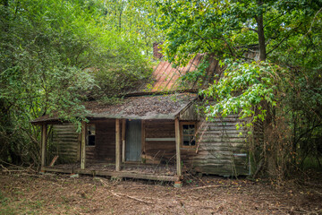 Abandoned homestead in the woods