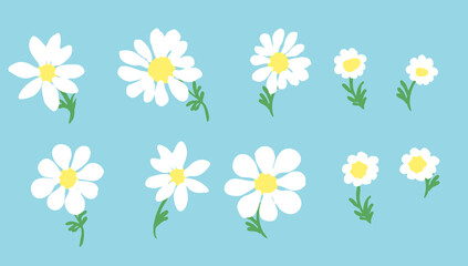 Set of flat vector illustrations of white daisies of different shapes on a blue background