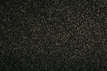 seed background