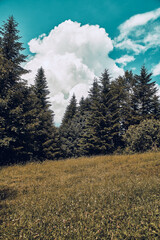 Beautiful aerial panoramic view of the Pieniny National Park, Poland in sunny day. Sokolica and Trzy Korony - English: Three Crowns (the summit of the Three Crowns Massif) © udmurd