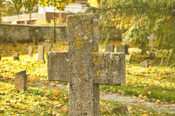 Stone crosses in the old cemetery in autumn