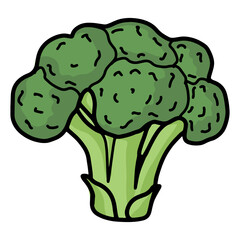 hand drawn broccoli illustration. isolated on a white background. Vector illustration