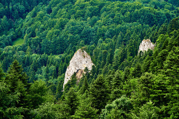 Beautiful aerial panoramic view of the Pieniny National Park, Poland in sunny day from Trzy Korony - English: Three Crowns (the summit of the Three Crowns Massif) © udmurd