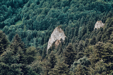 Beautiful aerial panoramic view of the Pieniny National Park, Poland in sunny day from Trzy Korony - English: Three Crowns (the summit of the Three Crowns Massif) © udmurd