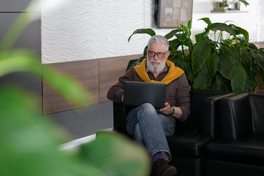 handsome gray-haired adult male director or top manager working with a laptop and chatting online, vit lounge or office co-working, business male engineer or banker working online, online chatting