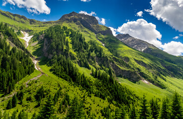 Obraz premium landscape in summer