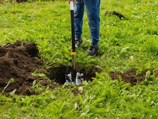 boy digs a hole for planting a tree on the site of a country house. vacation in the countryside
