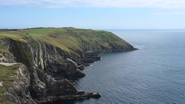 Seagulls on Old Head Sea cliffs