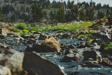 Creek in mountains