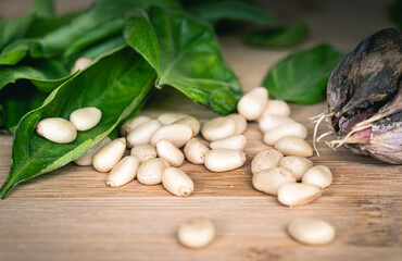 Pine Nuts on a Wood Table with Basil and Garlic