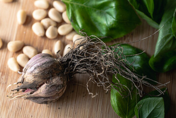 Garlic Head on a Wood Table with Pine Nuts and Basil