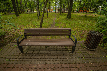 a bench in a green summer park