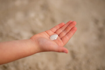 Girl's hands hold a seashell on the beach close-up