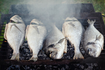 Gourmet barbecue. Fresh Dorado, Sea Bream fish on grill fire. Grilling, smoking, baking, BBQ and roasting process. Healthy lifestyle concept